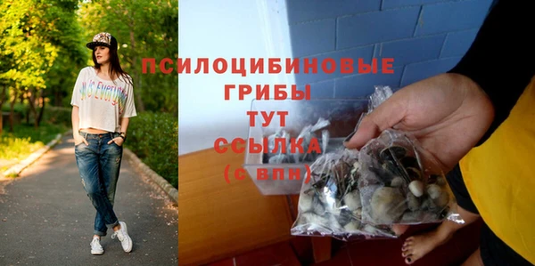 ешки Нефтегорск