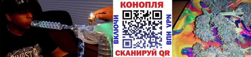 продажа наркотиков  Камышин  Бошки марихуана планчик 